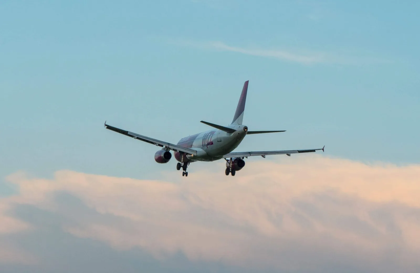 flight search engine comparison