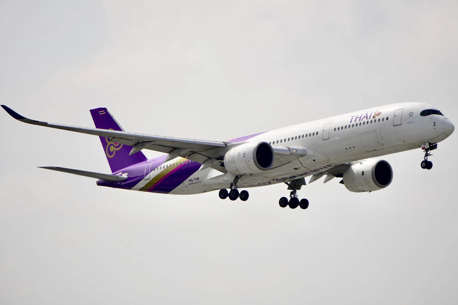 International flight booking cost comparison across routes and cabins