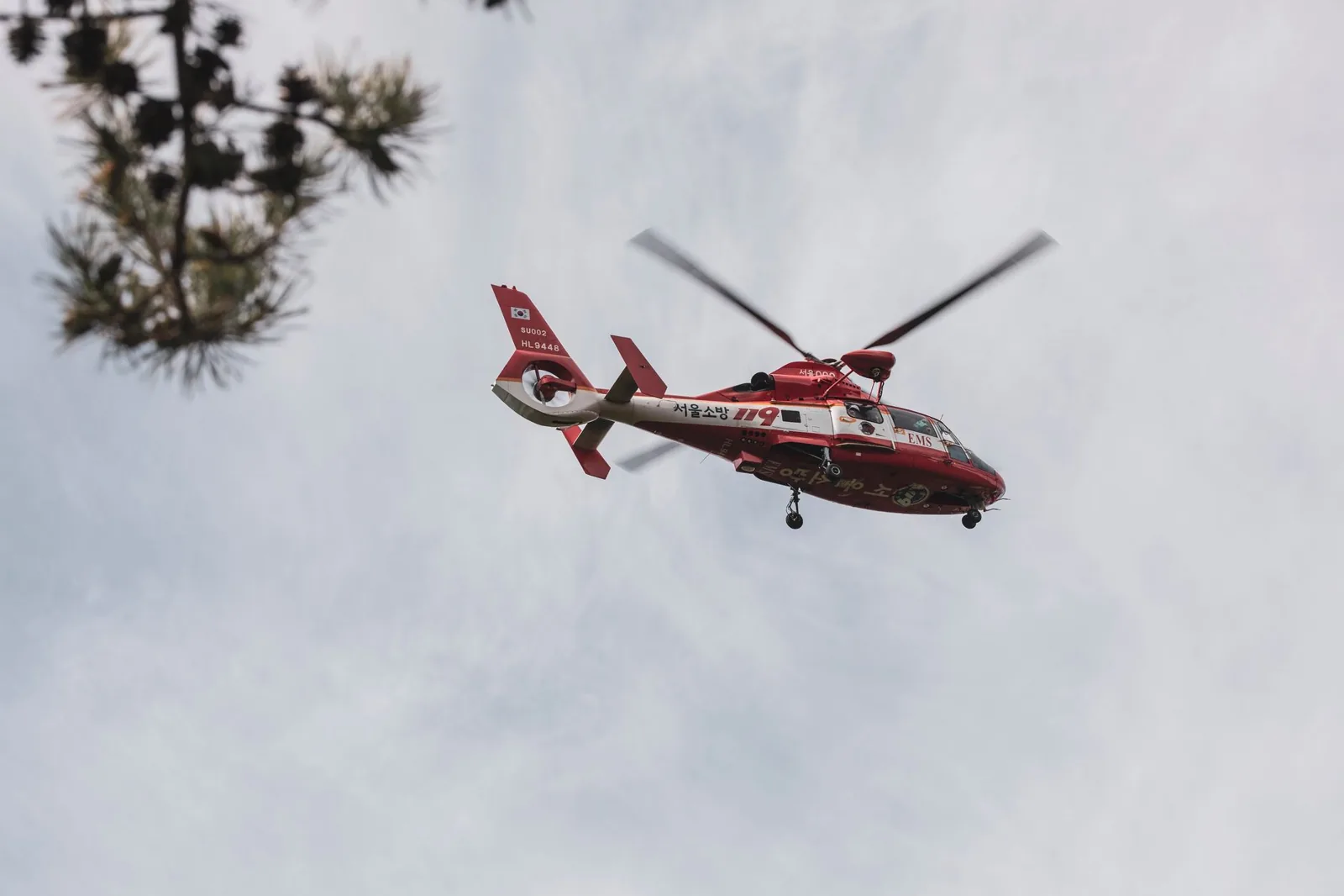 Emergency medical evacuation insurance coverage